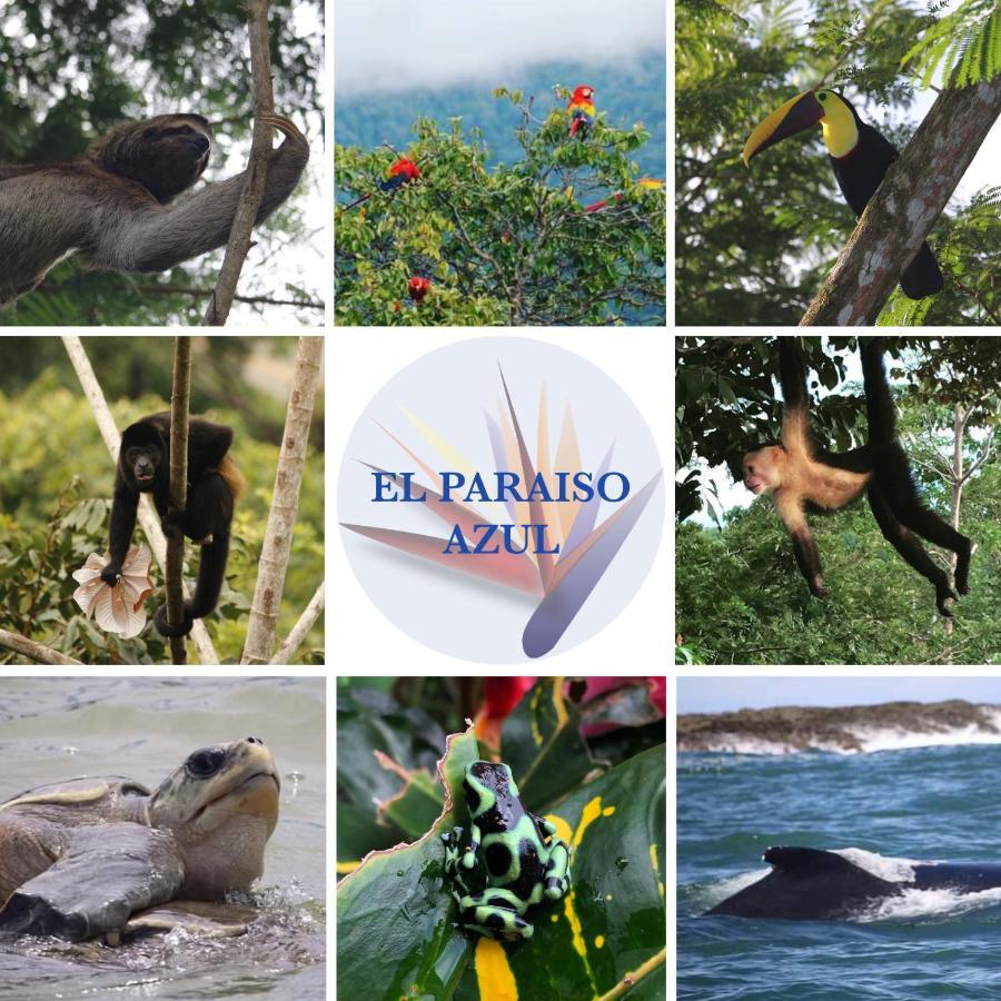 El Paraiso Azul Ojochal Eksteriør bilde